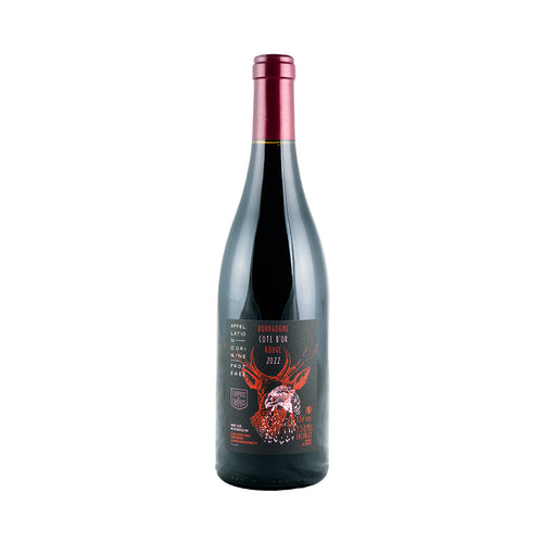 2022 AOP Bourgogne Côte d'Or