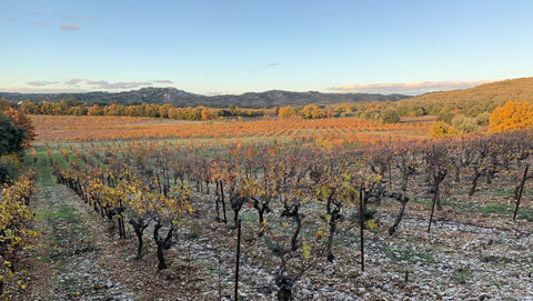 Les Frères Soulier - Gard