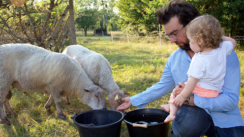 Julien Pineau - Loire