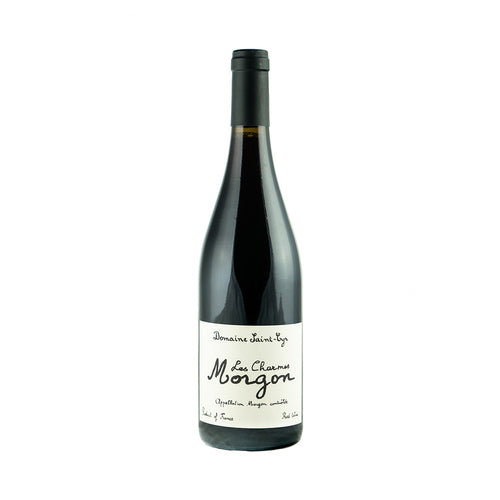 2019 AOC Morgon 'Les Charmes'